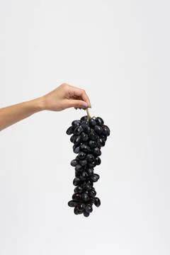 Bunch of blue grapes isolate Stock Photos