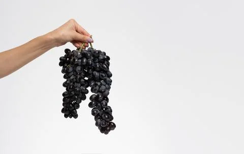 Bunch of blue grapes isolate Stock Photos