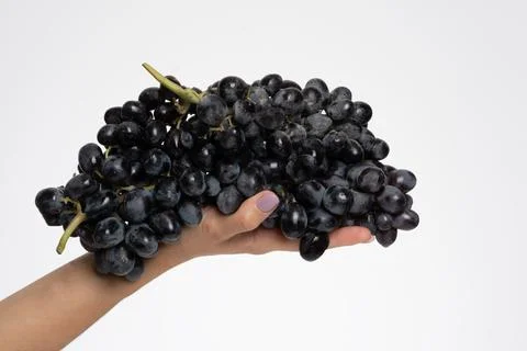 Bunch of blue grapes isolate 写真素材