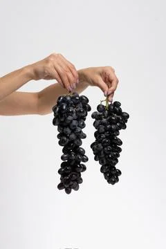 Bunch of blue grapes isolate Stock Photos