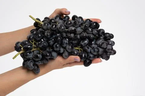 Bunch of blue grapes isolate Stock Photos