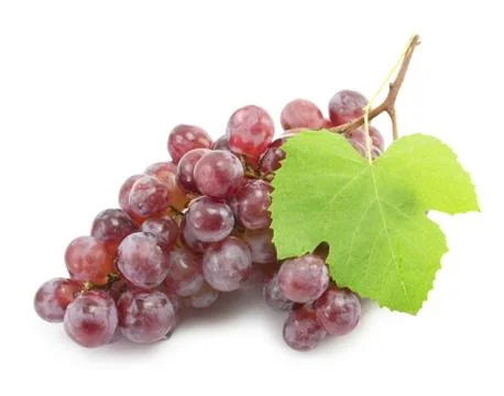 Bunch of blue grapes Stock Photos