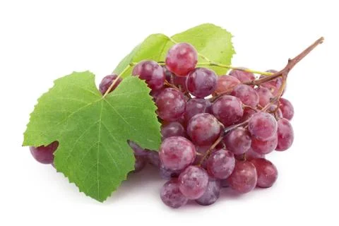 Bunch of blue grapes Stock Photos