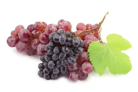 Bunch of blue grapes Stock Photos