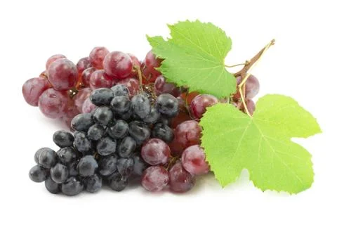 Bunch of blue grapes Stock Photos