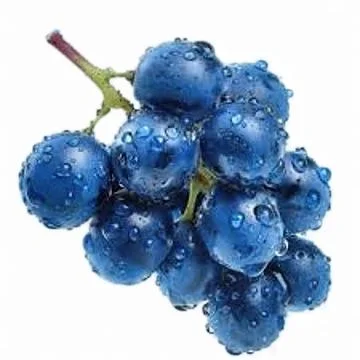 A bunch of blue grapes Stock Photos
