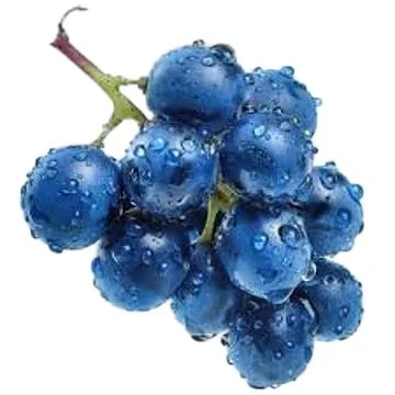 A bunch of blue grapes Stock Photos