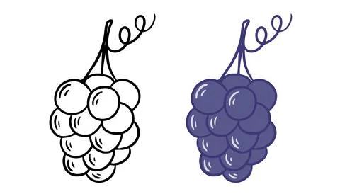 Bunch of blue round grapes Stock Illustration