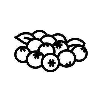 Bunch of blueberries leaf line icon vector illustration Stock Illustration