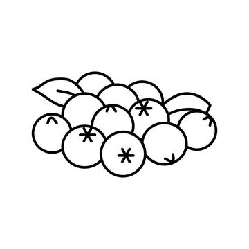 Bunch of blueberries leaf line icon vector illustration Stock Illustration