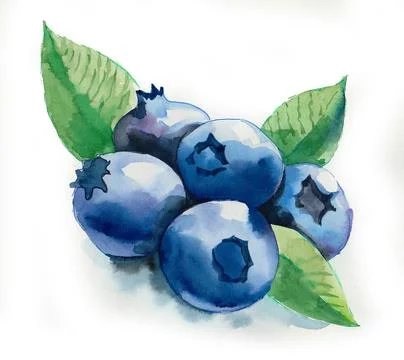 Bunch of blueberry Illustrazione stock
