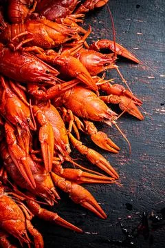 A bunch of boiled crayfish on the table. Stock Photos