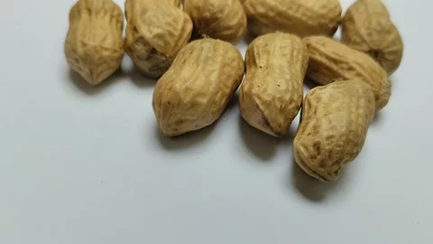 A bunch of boiled peanuts on a white background. 動画素材 293124209