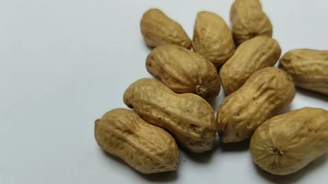 A bunch of boiled peanuts on a white background. 動画素材 293124246