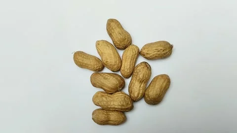 A bunch of boiled peanuts on a white background. 動画素材 293124247