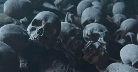 Bunch of Bones and Human Skulls scattering on dusty ground, night horror scene Video stock 280149633
