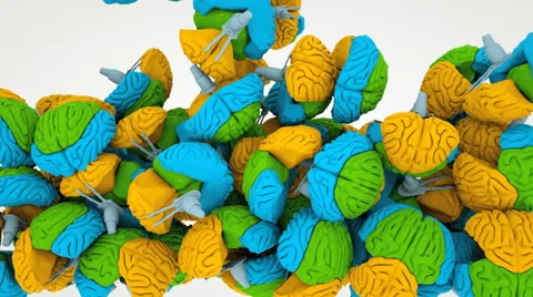 A bunch of brains Stockbeeldmateriaal 33603194