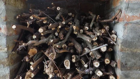 A bunch of branches prepared for cooking kebab. Pile of firewood prepared for Stock Footage 128775048