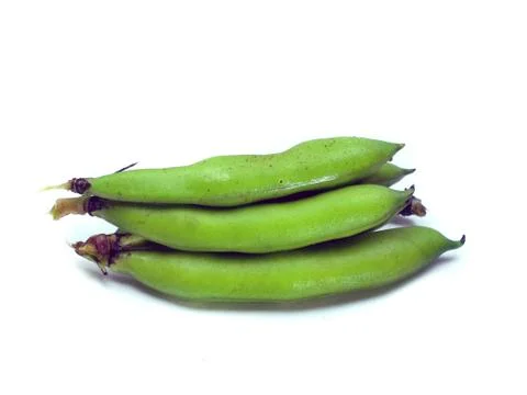 Bunch of broad beans Stock Photos