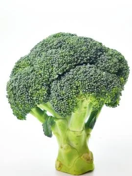 Bunch of broccoli isolated on a white background. Fresh ripe broccoli Stock Photos