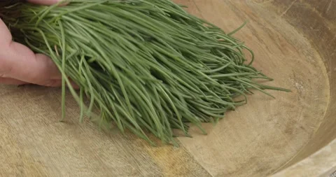 Bunch bundle of fresh opposite-leaved saltwort Stock Footage 151888559