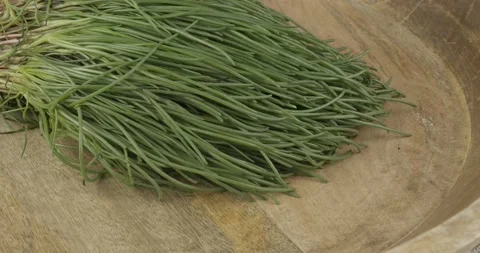 Bunch bundle of fresh opposite-leaved saltwort Stock Footage 154506319