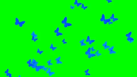 Bunch of butterfly flying same direction over green screen Stock Footage 127570763