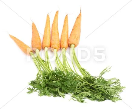 Bunch of carrot with the green top isolated over white background Stock Photos