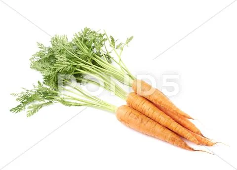 Bunch of carrot with the green top isolated over white background Stock Photos