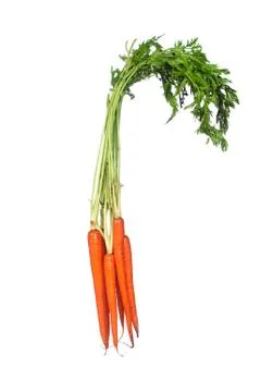 Bunch of carrots isolated on white Stock Photos