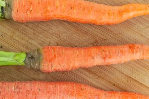 Bunch of carrots orange root vegetable long and clean on a beige background Stock Photos