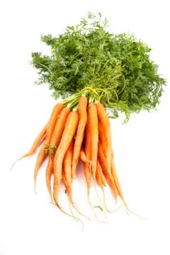 Bunch of carrots Stock Photos