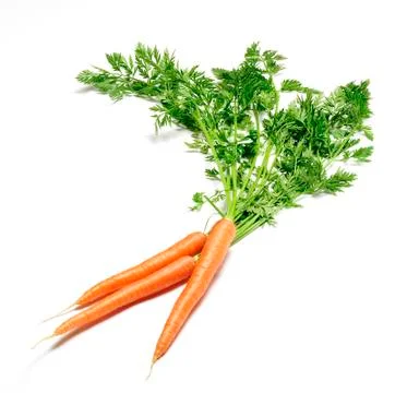 Bunch of carrots Stock Photos