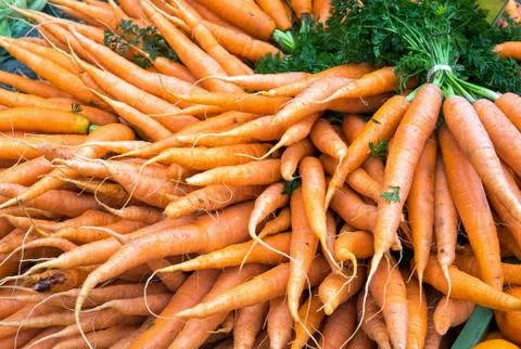 A bunch of carrots Foto stock