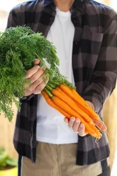 Bunch of carrots Stock Photos