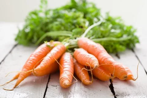 Bunch of Carrots Stock Photos