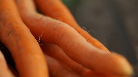 Bunch of Carrots is placed on a Table Closeup Stock Footage 99163956