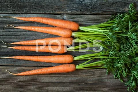 Bunch of carrots rustic harvest healhy organic vegetarian food on vintage wooden Stock Photos