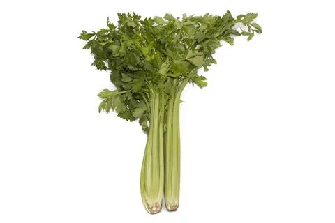 A bunch of celery Stock Photos