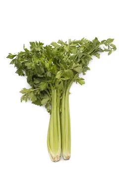 A bunch of celery Stock Photos