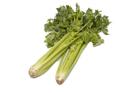 A bunch of celery Stock Photos