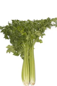 A bunch of celery Stock Photos