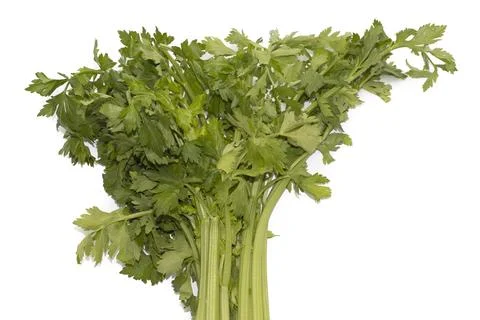 A bunch of celery Stock Photos