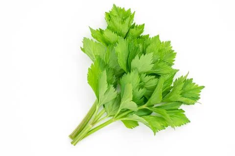 A bunch of celery sprigs close-up isolated on a white background Foto stock