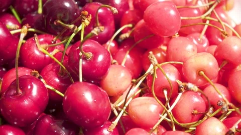 A bunch of cherries and cherry juice on a table Stock Footage 90651404