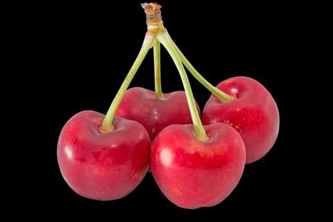 Bunch of cherries on black Stock Photos
