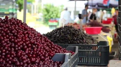 Bunch of Cherries at Market Stock Footage 46111691