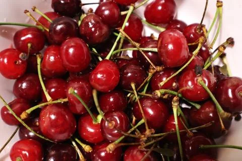 Bunch of cherries on the plate Stock Photos