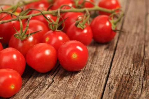 Bunch of cherry tomatoes on the vine Stock Photos
