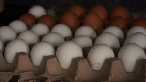 A bunch of chicken eggs on a special cob in the kitchen Stock Footage 154056591